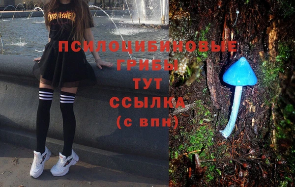 дмт Баксан